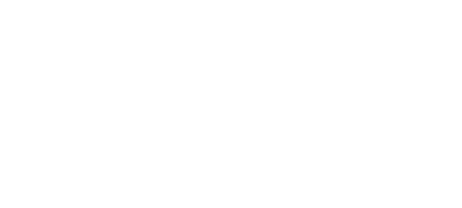 Ariz Global — Training and Consulting